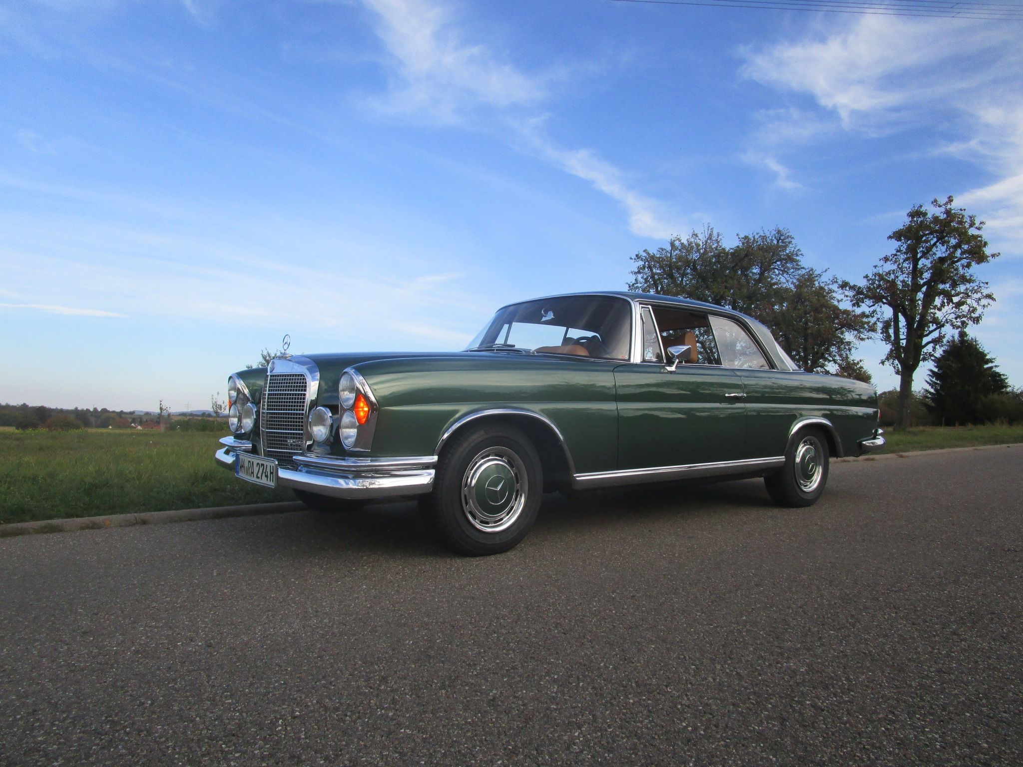 W111 grün
