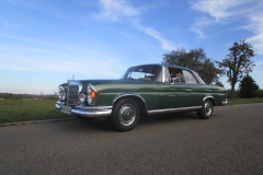 W111 grün